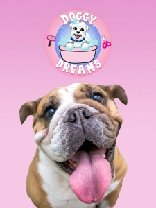 doggy dreams pet care in Jacksonville Call Or text (904)4229473