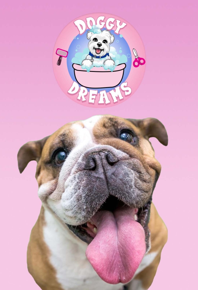 doggy dreams pet care in Jacksonville Call Or text (904)4229473