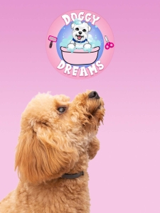 doggy dreams pet care in Jacksonville Call Or text (904)4229473