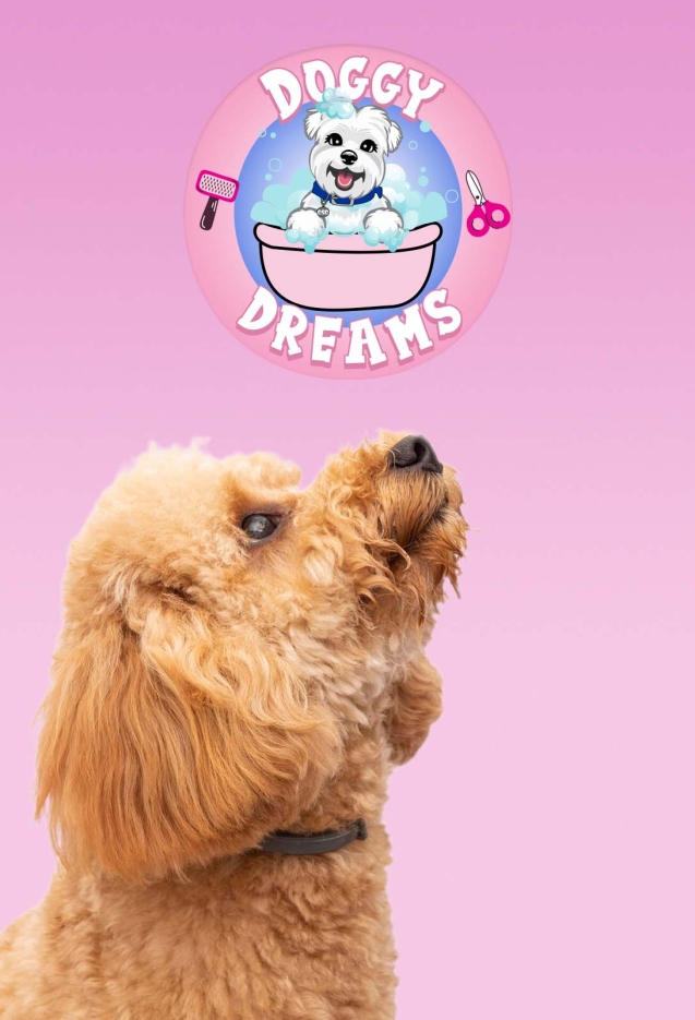 doggy dreams pet care in Jacksonville Call Or text (904)4229473